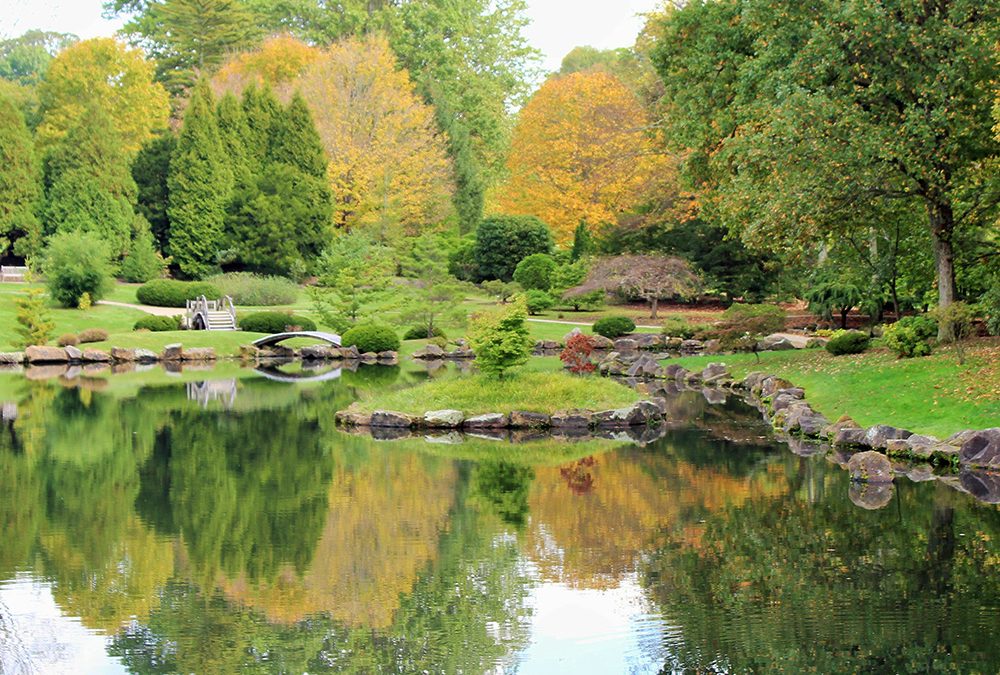 Takata Japanese Garden / Zen Garden - Horticulture Centre of the