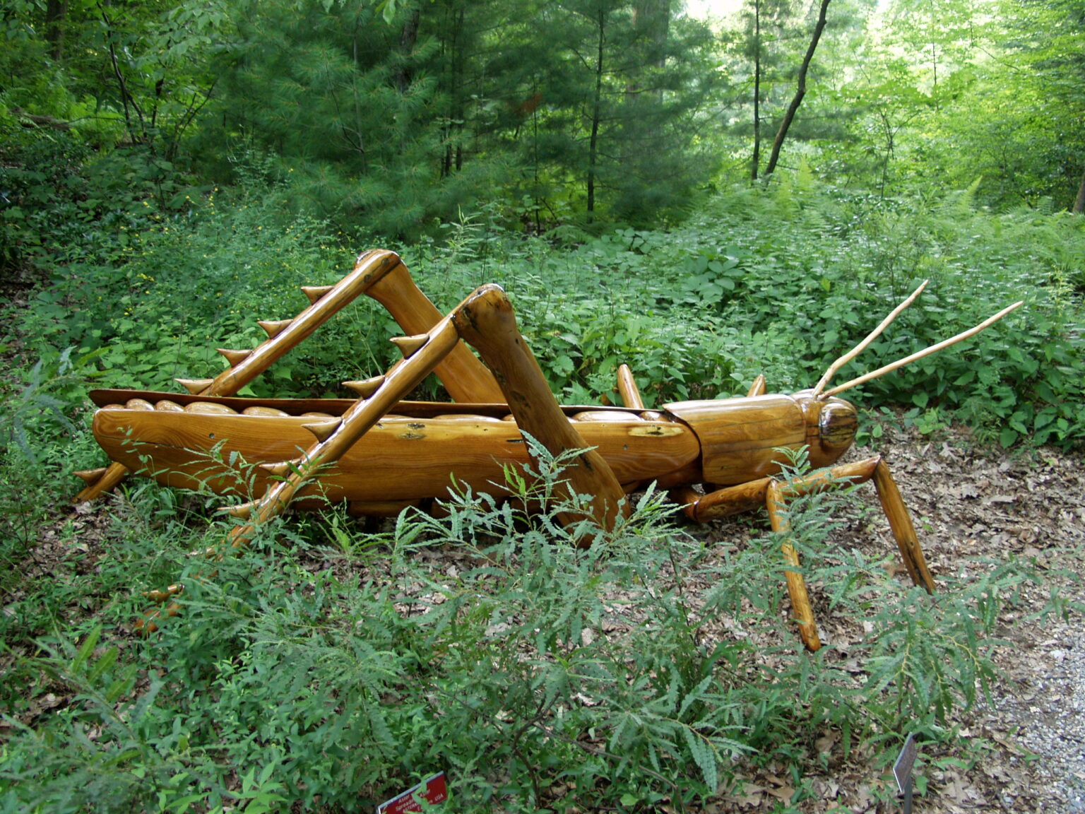 2024 Exhibit: David Rogers’ Big Bugs | The Dawes Arboretum