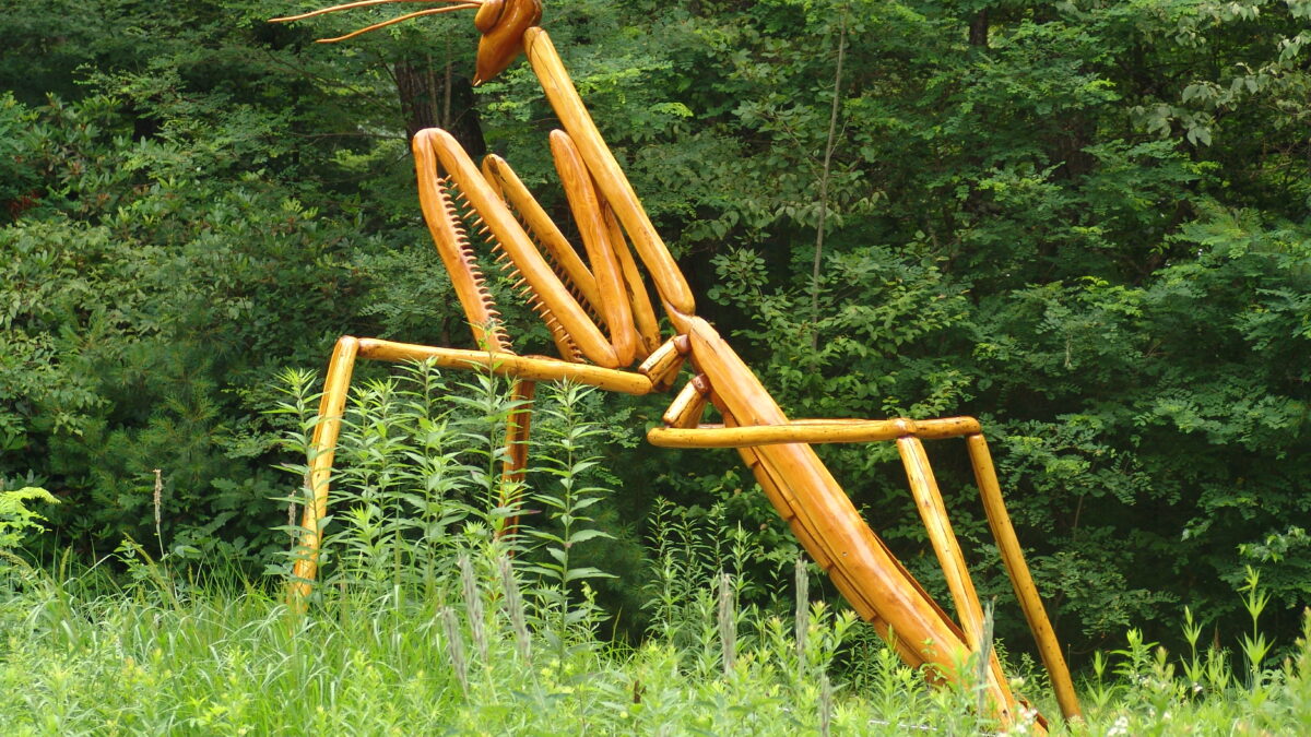 2024 Exhibit: David Rogers’ Big Bugs | The Dawes Arboretum