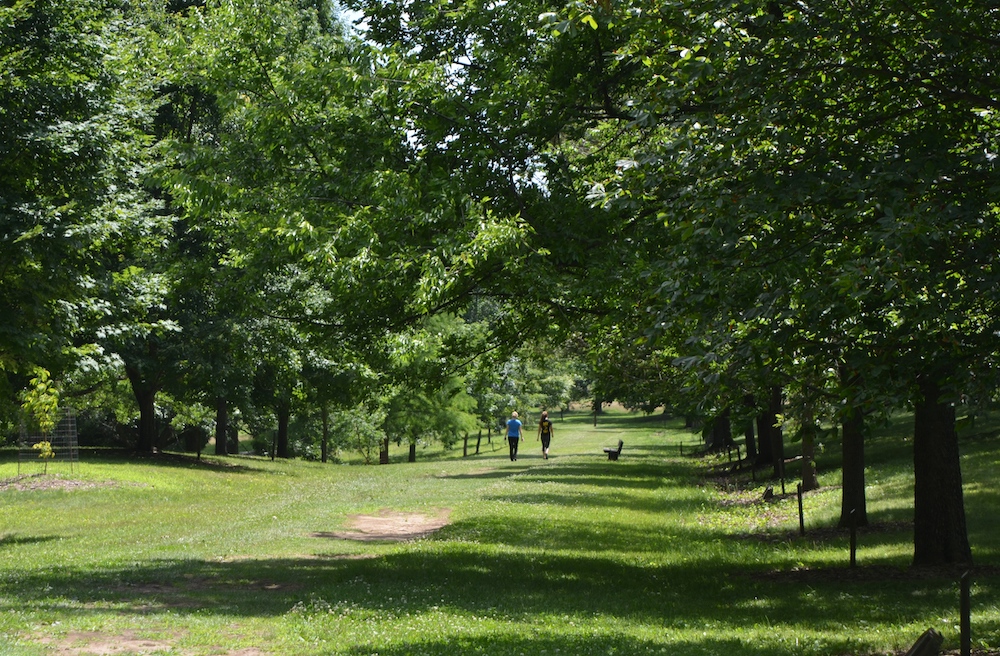 The Dawes Arboretum spans nearly 2,000 acres, leaving plenty to do and to see on all of your visits.