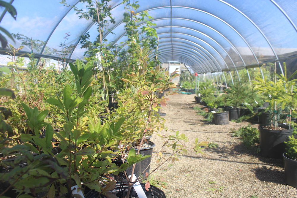 The Dawes Arboretum is hosting our spring plant sale on Saturday, May 20. There will be special member hour from 8 to 9am, and everyone is welcome to shop from 9am to 12pm.